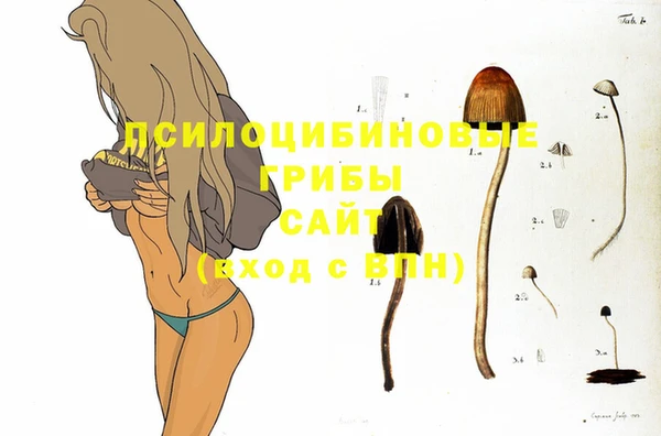 герыч Касимов