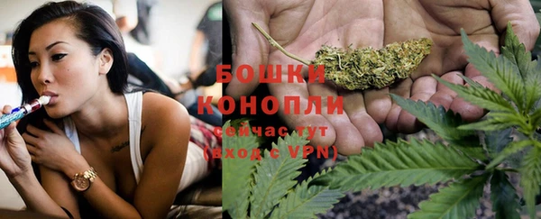МДПВ Карпинск
